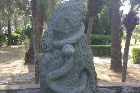 动物雕刻