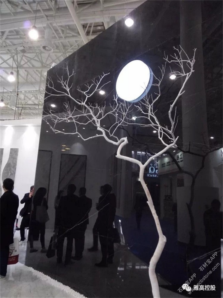 黑白根工程案例