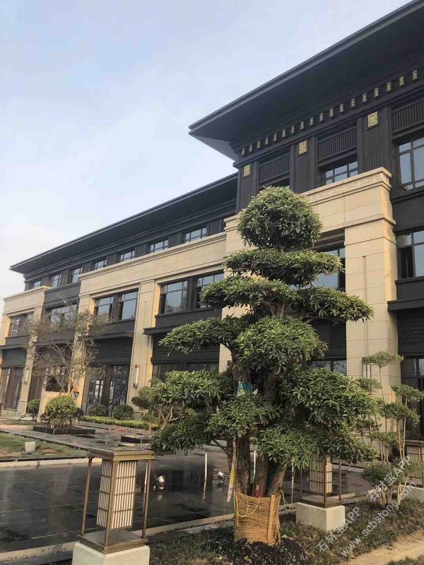 黄金麻钢挂售楼部