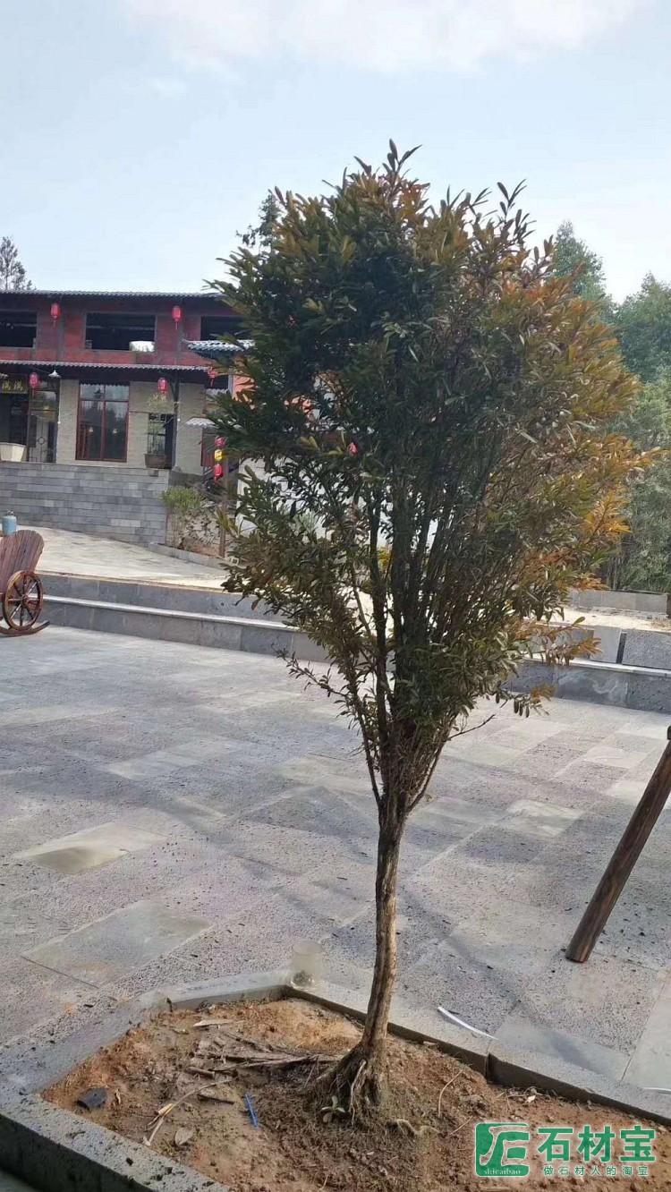 黑洞石地铺案例