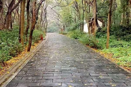 青石板工程案例