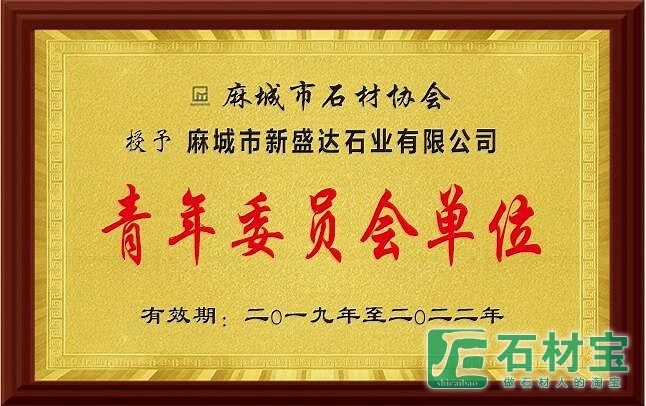 青年委员会单位