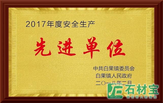 2017先进单位