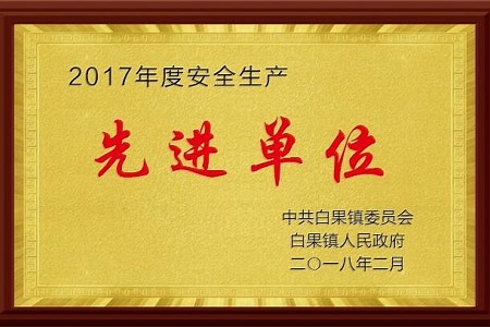 2017先进单位