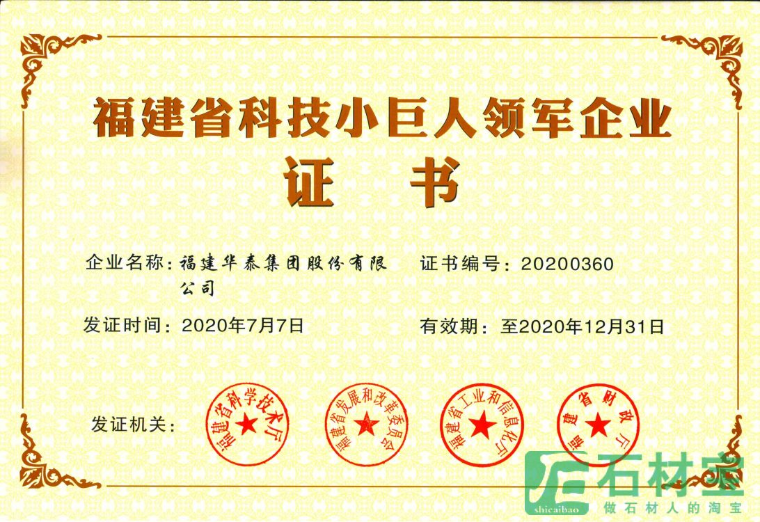 福建省科技小巨人领军企业