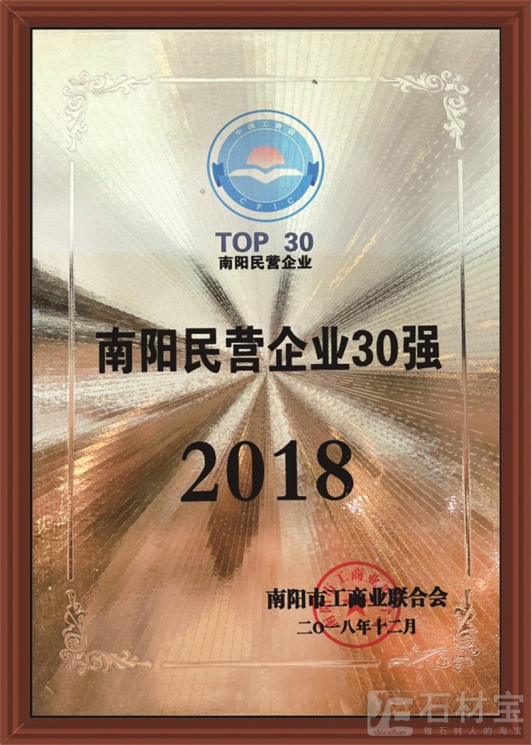 南阳市民营30强企业