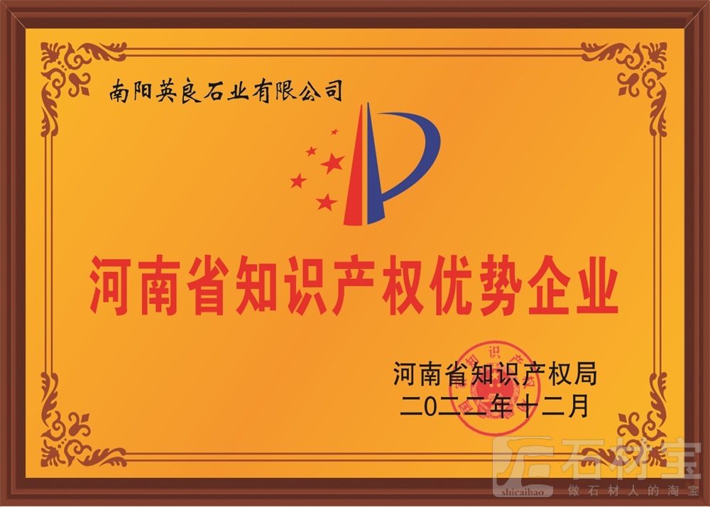 省知识产权优势企业