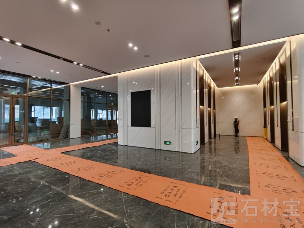 南斯拉夫白案例