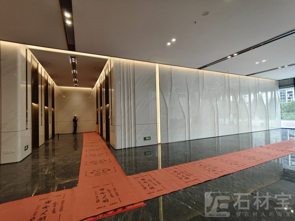 南斯拉夫白案例