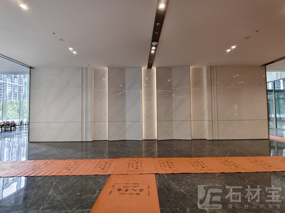 南斯拉夫白案例
