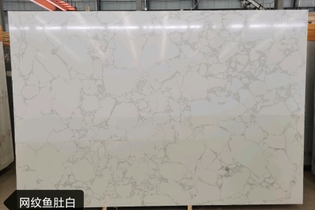 网纹鱼肚白