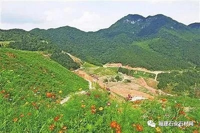 从“要我建”到“我要建”——160个绿色矿山在广东落地开花