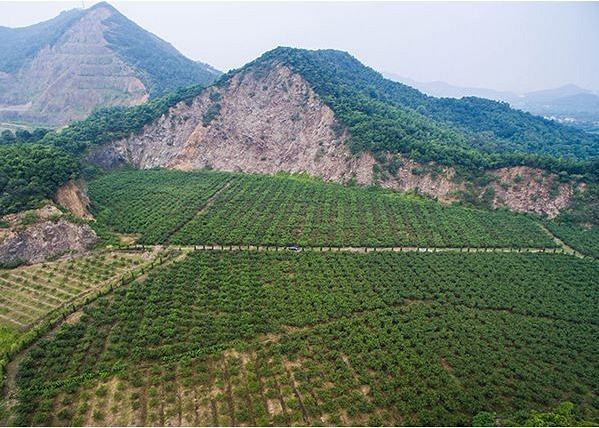 废弃矿山变身致富“靠山”