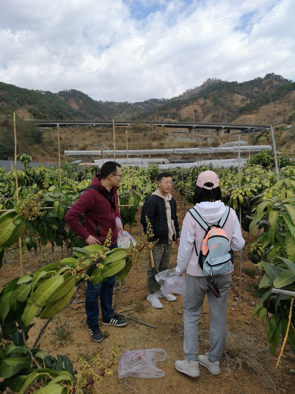 以“矿山绿色开发指数”促矿业生态文明转型