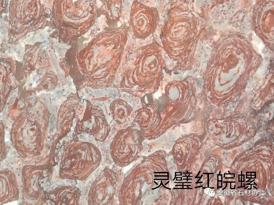 安徽省石材协会向合肥市重点工程推荐安徽优质石材产品