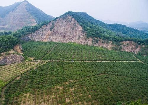 湖南出台绿色矿山建设三年行动方案