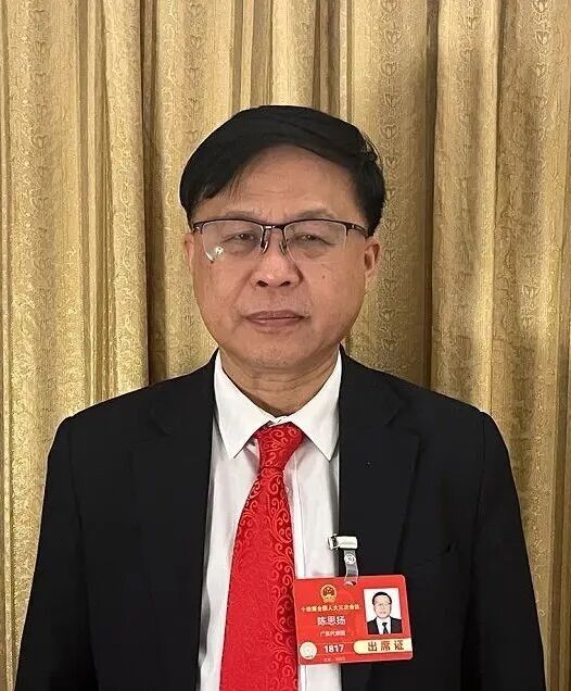 全国人大代表陈思扬：  税务合规赋能石材企业长远发展