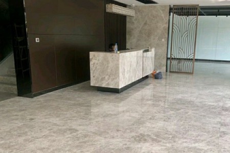 北极光-大堂案例