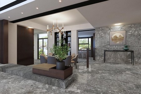 罗曼蒂克灰案例