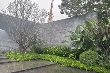库班绿