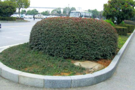 武汉市沌阳大道