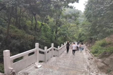 工程案例