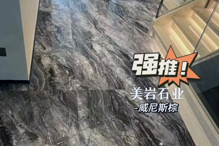 威尼斯棕案例