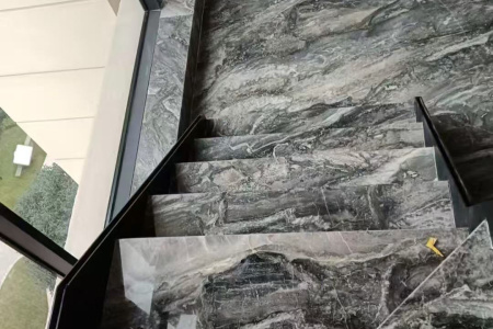 威尼斯棕案例