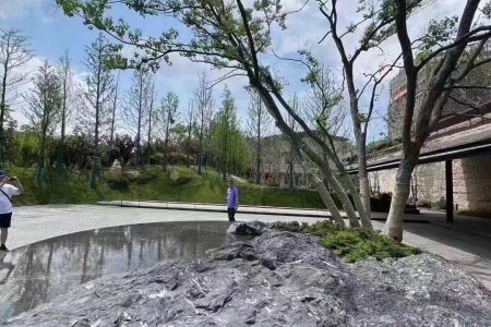 中国黑景观石