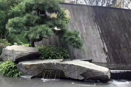 湛江黑案例