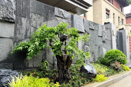 湛江黑案例