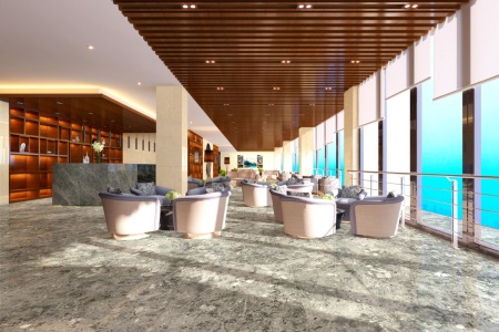 柬埔寨高登灰案例