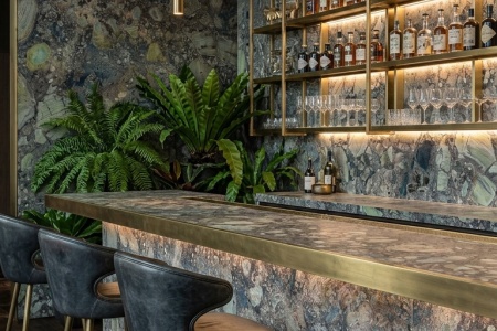 亚马逊绿森林案例