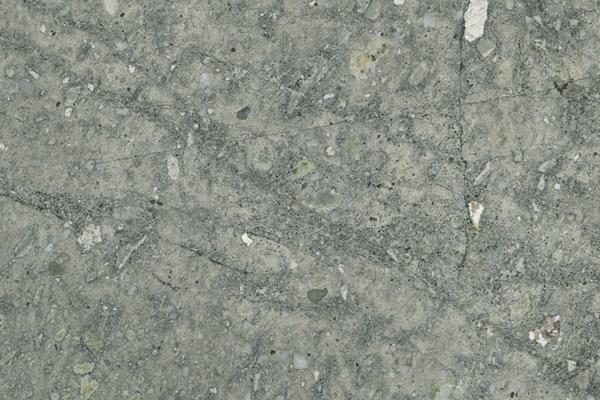 银狐/银貂/意大利灰