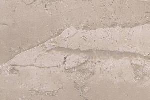 阿曼米黄（大花）