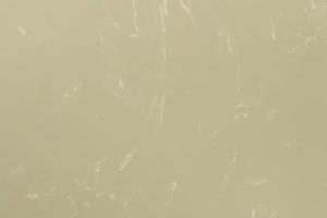 世纪莎安娜(岗石)