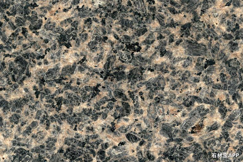 豹皮花(黑豹)-花岗岩-石材-石材网