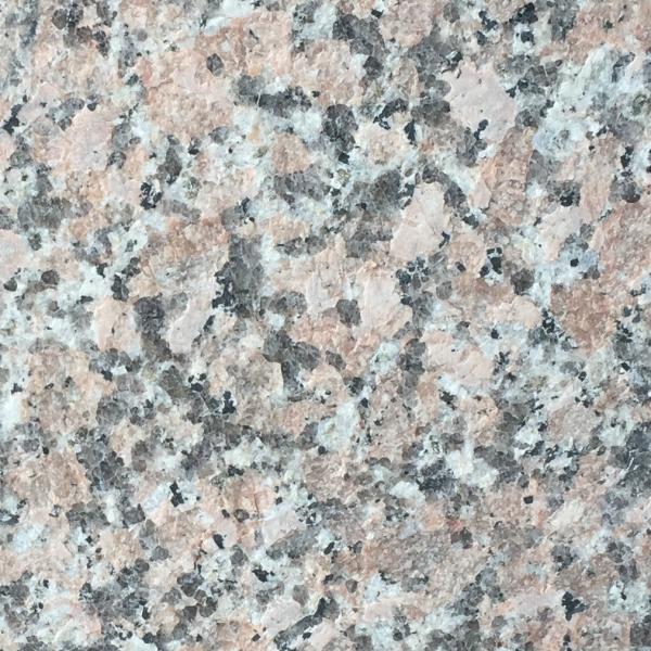 海棠红(天河红)火烧面