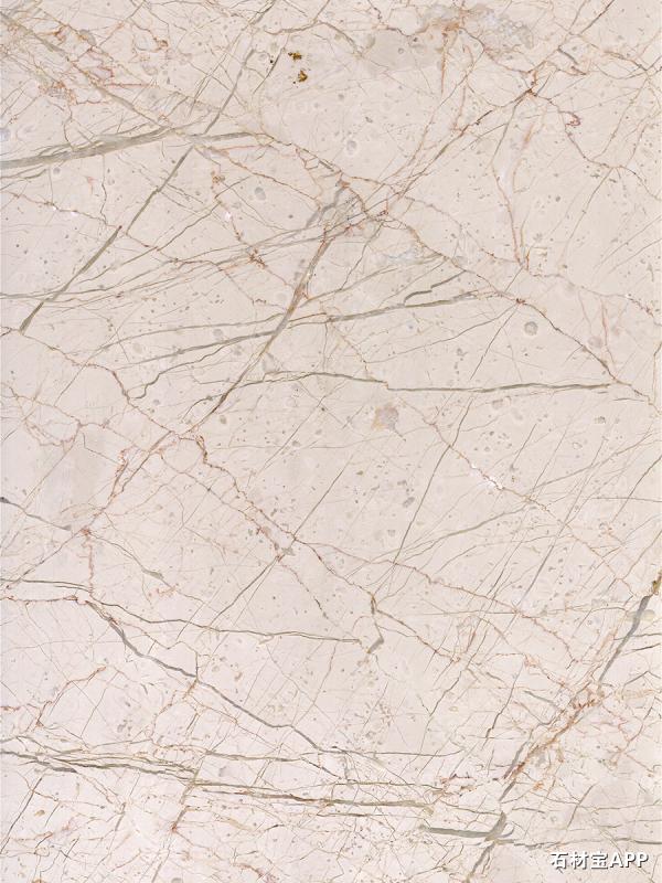 世纪米黄（红根2）