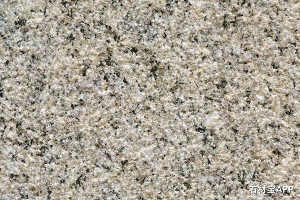 诺尔玫瑰(荔枝面)