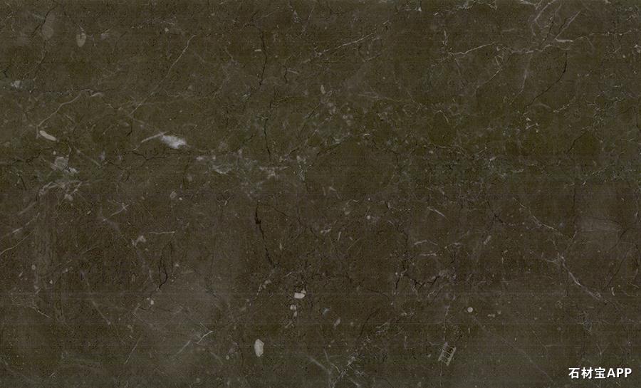 比萨灰/塞浦路斯灰