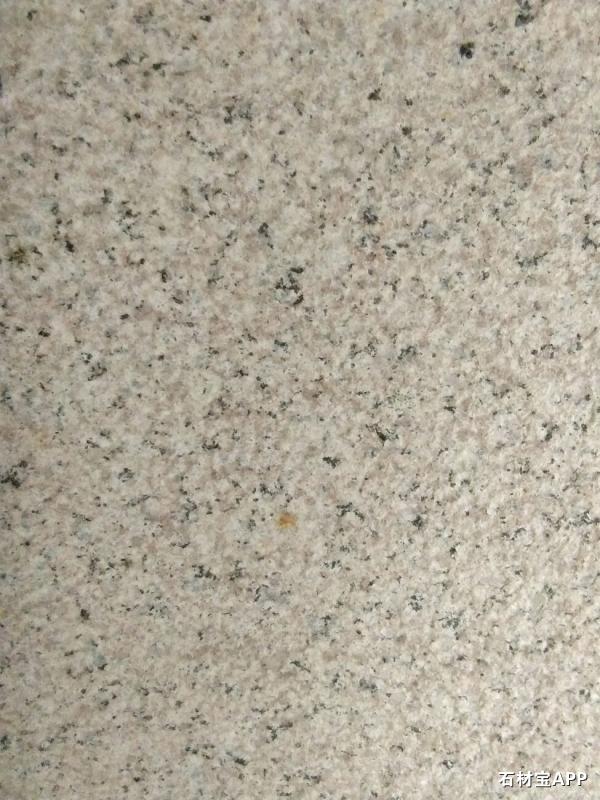 山东虾红荔枝面