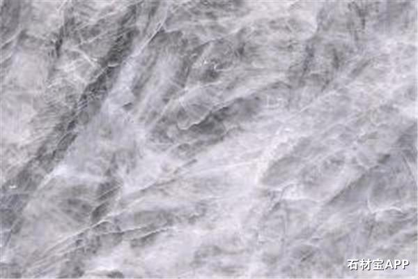 雪山飞狐(雪山银狐)