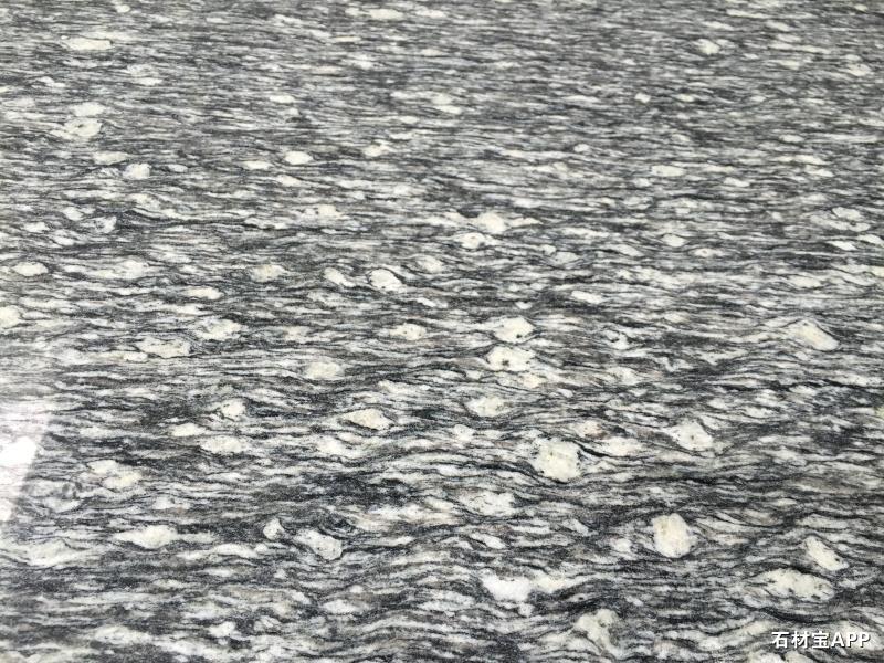 浪花白（海浪花）