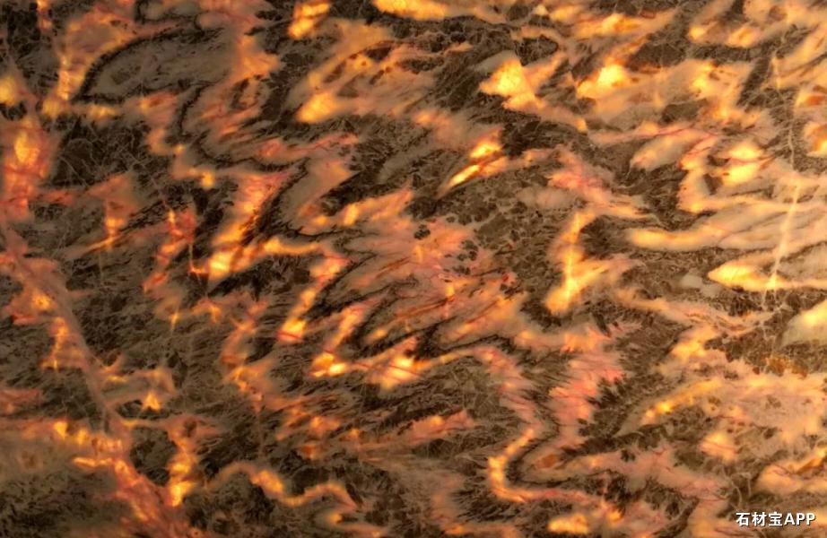 凤凰传奇（透光）