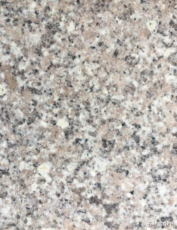 大花白(粉红底)