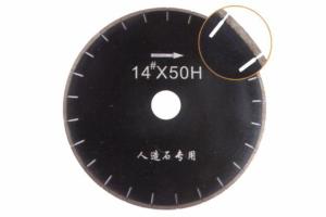 DSB-21
