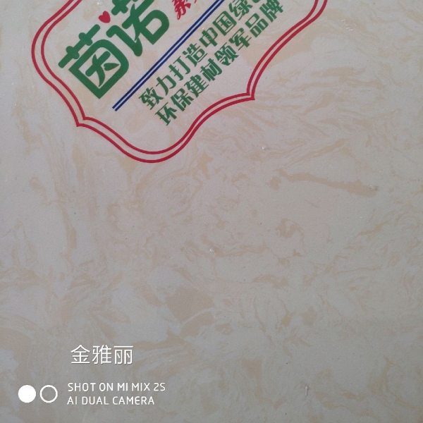 金雅丽