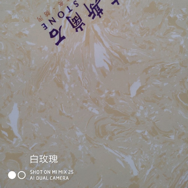 白玫瑰