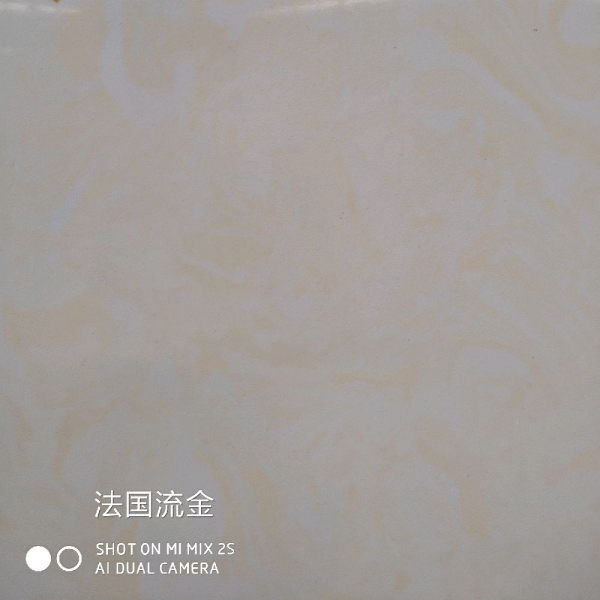 法国流金